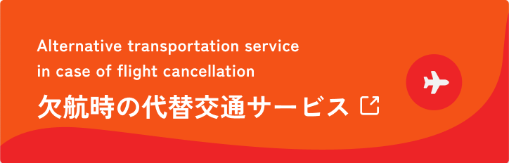 Alternative Transportation Service