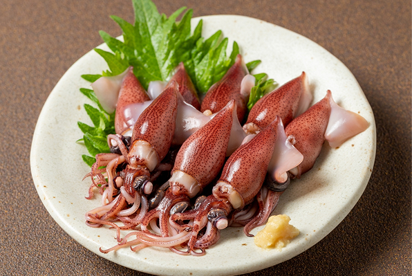 ホタルイカのイメージ
